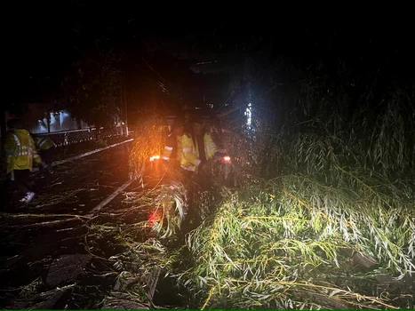 Furtuna a făcut ravagii în Târgu Jiu Foto: Edilitara Public