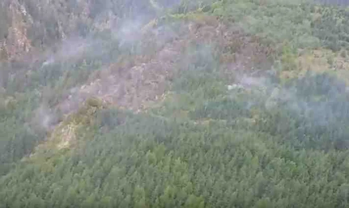Incendiul care a afectat cele şase hectare de pădure a fost stins după câteva orecaptură video