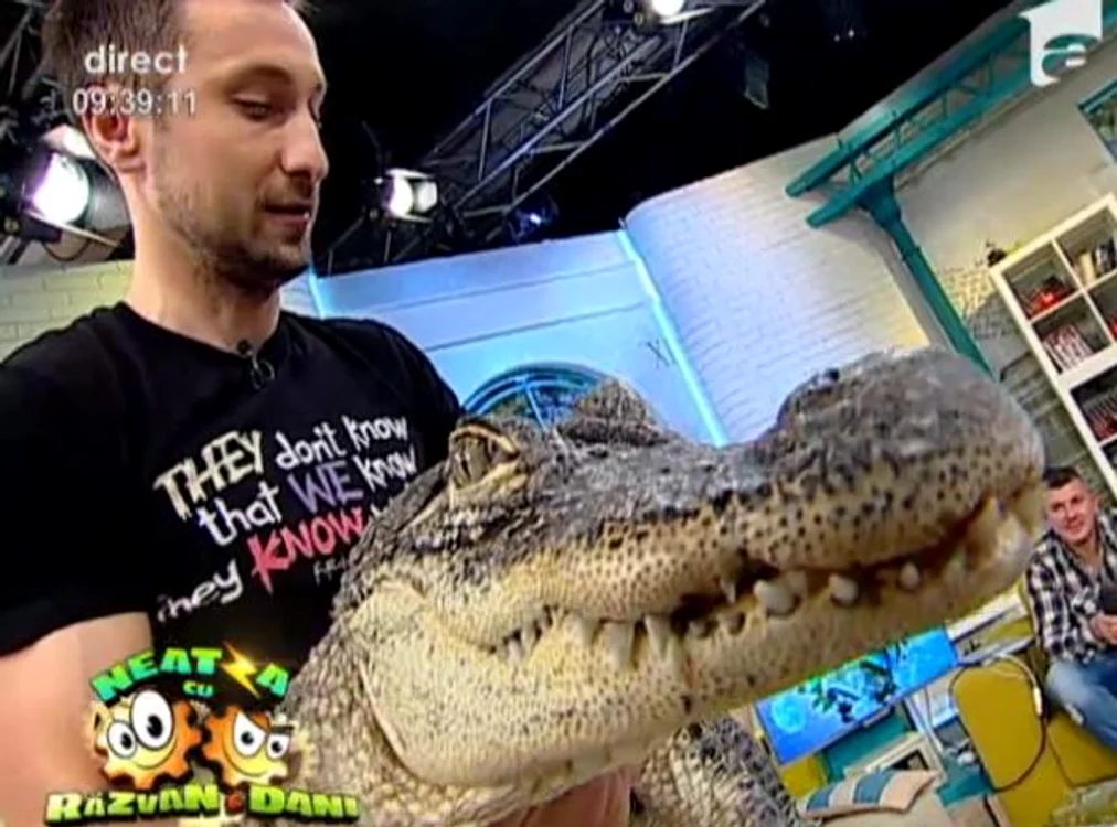Dani Oţil (FOTO ANTENA 1)