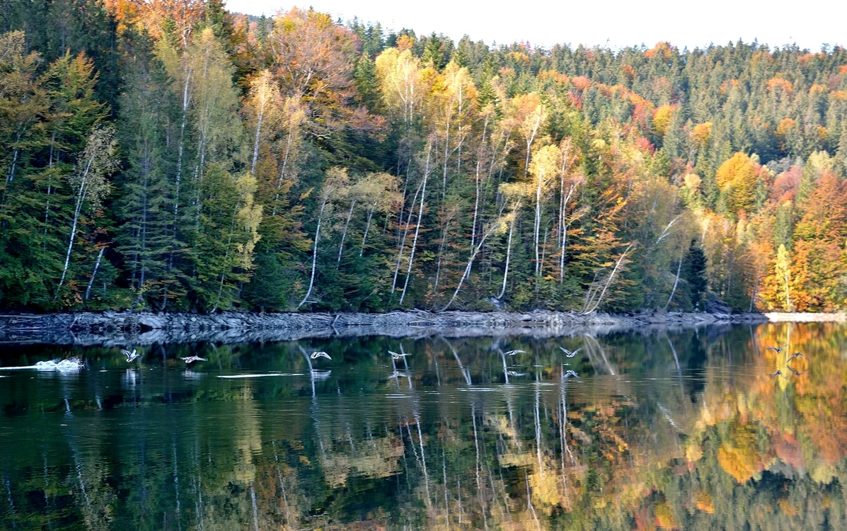 Lacul Câmpul lui Neag. Foto: Savu Emil Milică