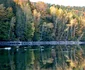 Campul lui Neag Foto Emil Milică Savu 8 jpg