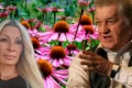 Banner Dorel Vișan 