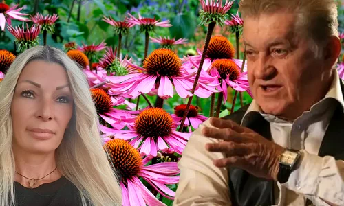 Banner Dorel Vișan 
