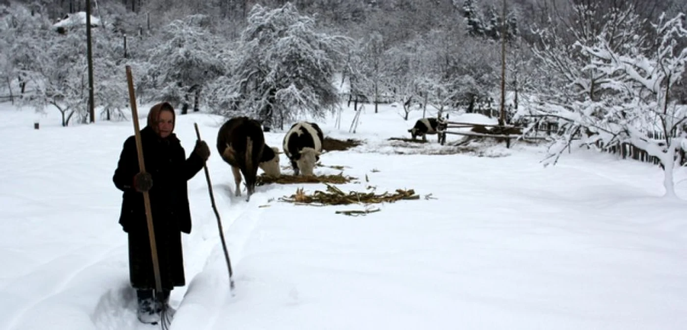 Ileana nu ar dori să locuiască altundeva decât în satul în care s-a născut. FOTO: Daniel Guţă. ADEVĂRUL.