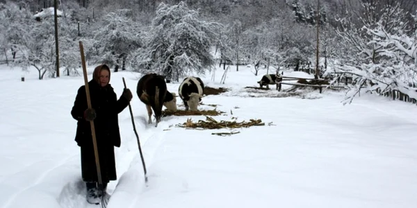 cioclovina foto daniel Guta adevarul