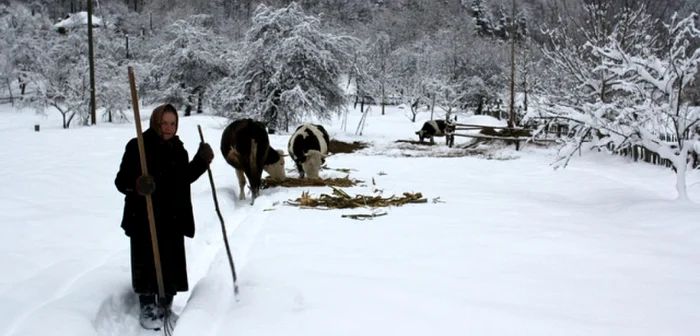 Ileana nu ar dori să locuiască altundeva decât în satul în care s-a născut. FOTO: Daniel Guţă. ADEVĂRUL.