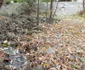 Scurgeri de mizerie din canalizările defecte pe Faleza din Galaţi FOTO Costel Crângan