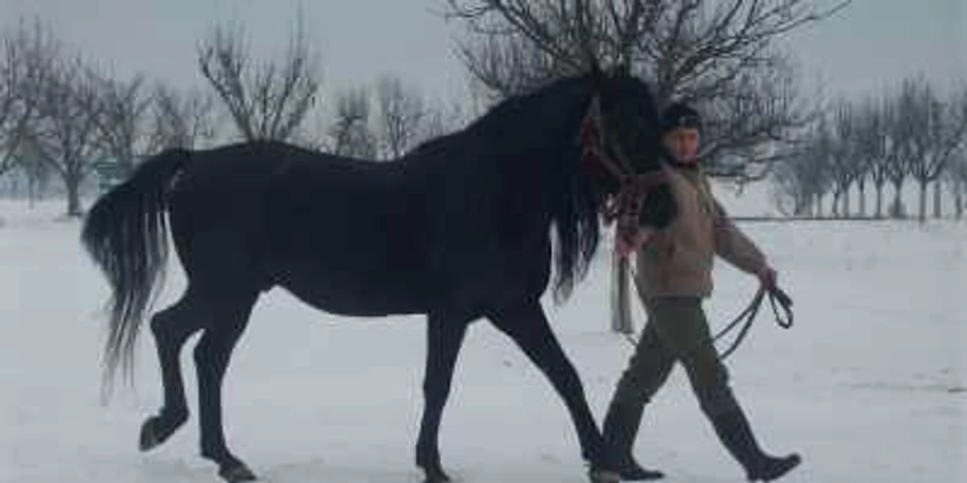 Herghelia din Beclean va fi un obiectiv important pe harta turistică din „Ţinutul Haiducilor“