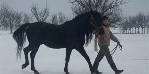 Herghelia din Beclean va fi un obiectiv important pe harta turistică din „Ţinutul Haiducilor“