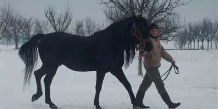 Herghelia din Beclean va fi un obiectiv important pe harta turistică din „Ţinutul Haiducilor“