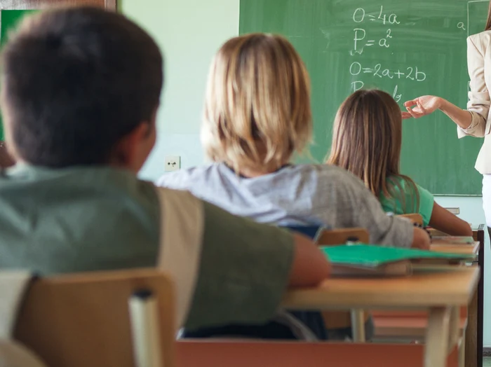 Incidentul s-a întâmplat la o școală din Timiș. FOTO Shutterstock
