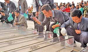 Întrecerea crabilor, o competiţie tradiţională şi extrem de populară din Jiangsu, are loc la începutul lui octombrie jpeg