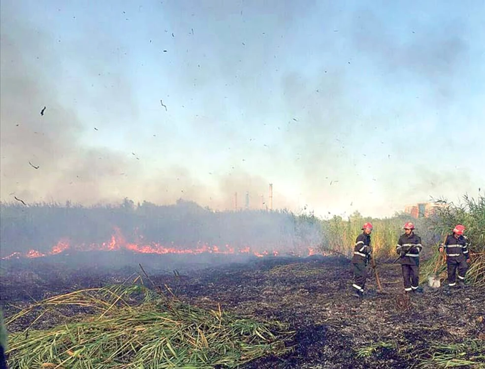Pompierii s-au luptat patru zile cu incendiile izbucnite în Delta Văcăreşti