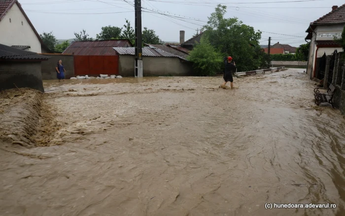 inundatii bosorod