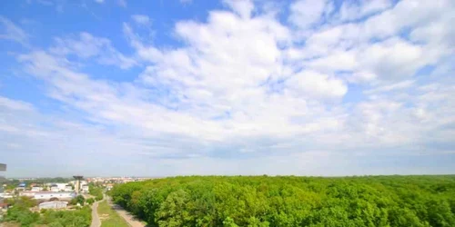 Pădurea verde FOTO Adora Forest