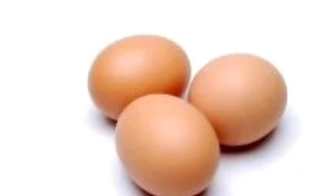 1 2 jpg jpeg