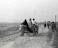 retezat 1963 foto viorel simionescu