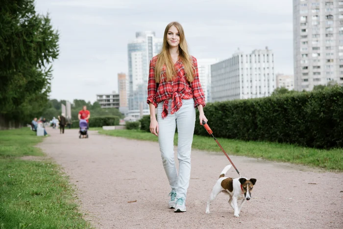 Plimbările cu câinele, secretul unei inimi sănătoaseFoto: Shutterstock