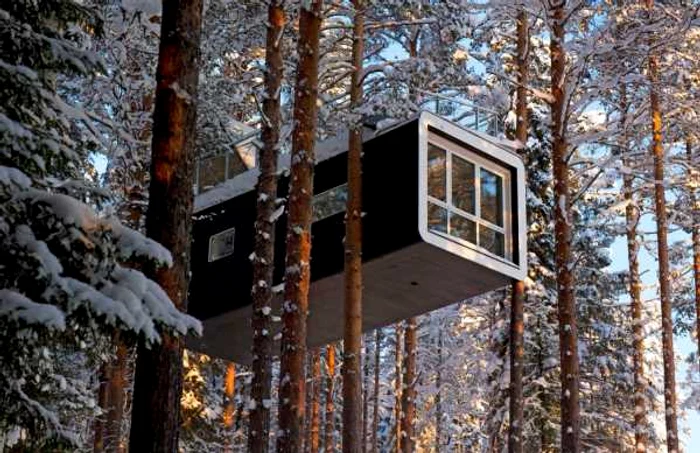 Hotel in copac FOTO treehotel.com