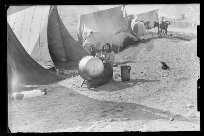Rom căldărar FOTO Imago Romaniae