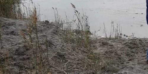 lac