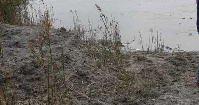 Lacul Nuntaşi are din nou apă Foto: ARBDD