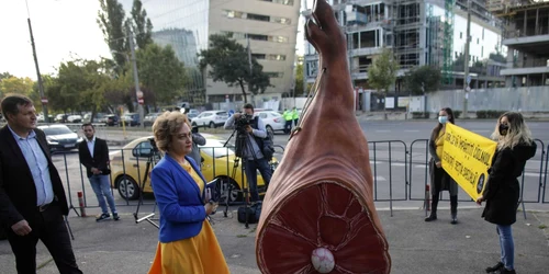 Congres PNL 2021. Foto Inquam Photos / Octav Ganea