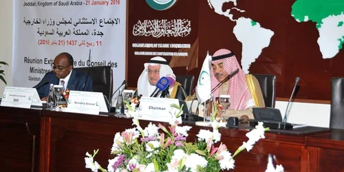 Intalnire OIC FOTO Facebook OIC (Organization for Islamic Cooperation).