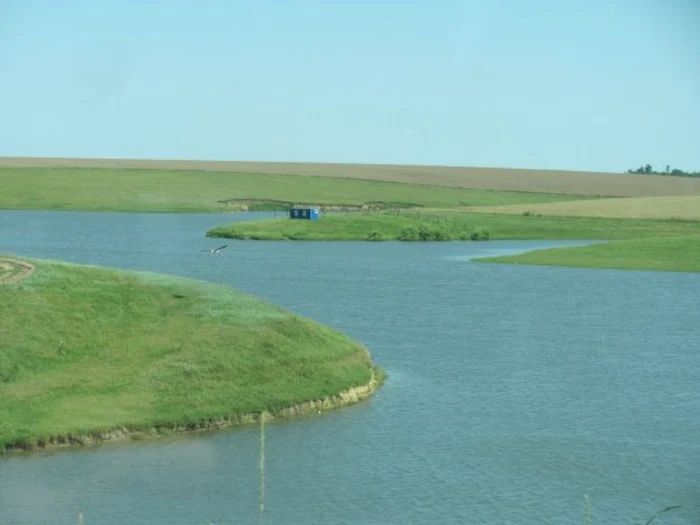 Valea Mostiştei se întinde pe o suprafaţă de peste 6.000 de hectare FOTO: Mădălin Sofronie