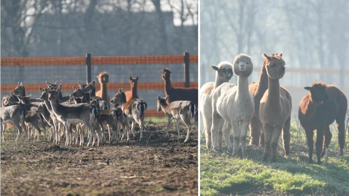 Spațiul este supravegheat video și iluminat discret / foto: Olguța Vasilescu