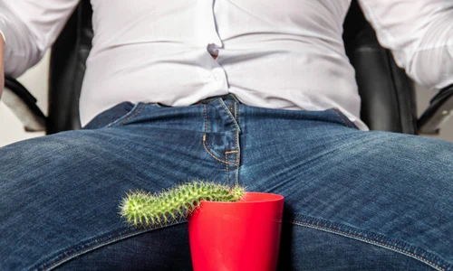 shutterstock 2231990639 jpg