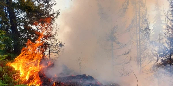 incendiu apuseni