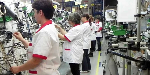 Fabrica de la Moldova-Nouă a încadrat în muncă cei mai mulți șomeri