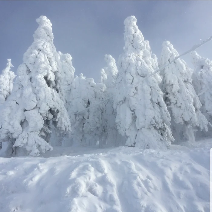 Peisaj de vis la cota 1799, în Masivul Postăvarul