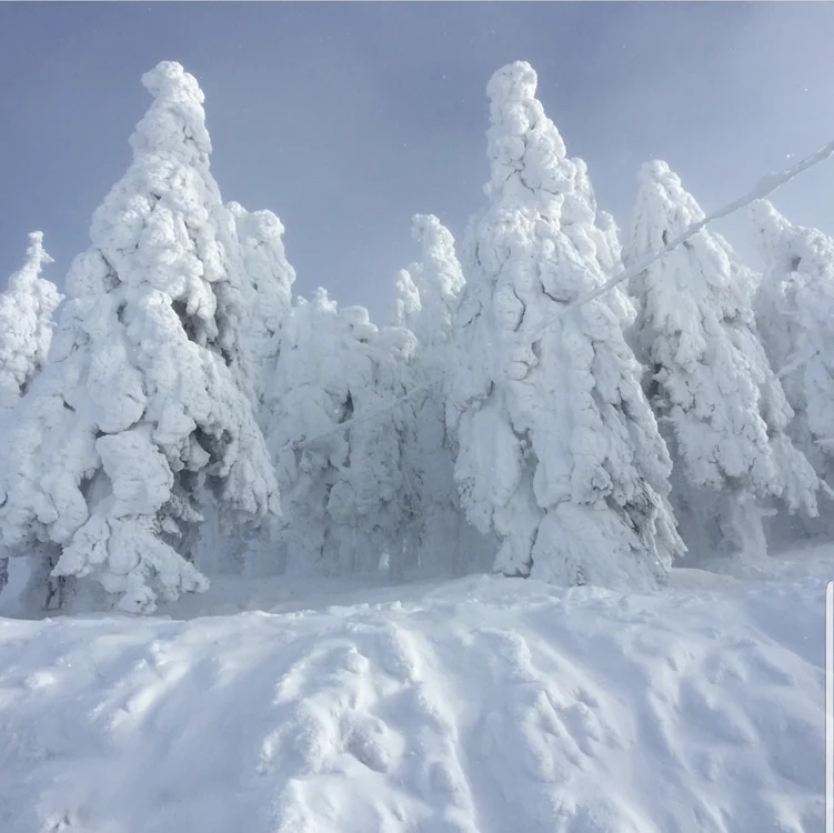 Peisaj de vis la cota 1799, în Masivul Postăvarul
