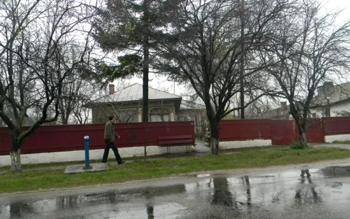 blejeni