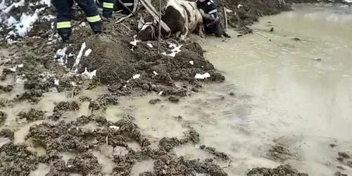 62289bab5163ec4271fab8d8 jpg