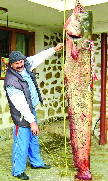 
    Odată adus în pensiune,  somnul a primit un fir de  mărţişor şi a fost oferit,  drept cadou, soţiei lui Doru  