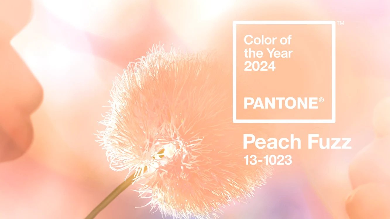 Peach Fuzz, culoarea anului 2024 FOTO Instagram/ pantone