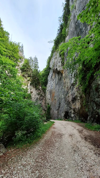 Cheile Zărneștilor atrag anual numeroși turiști FOTO Anda Radu