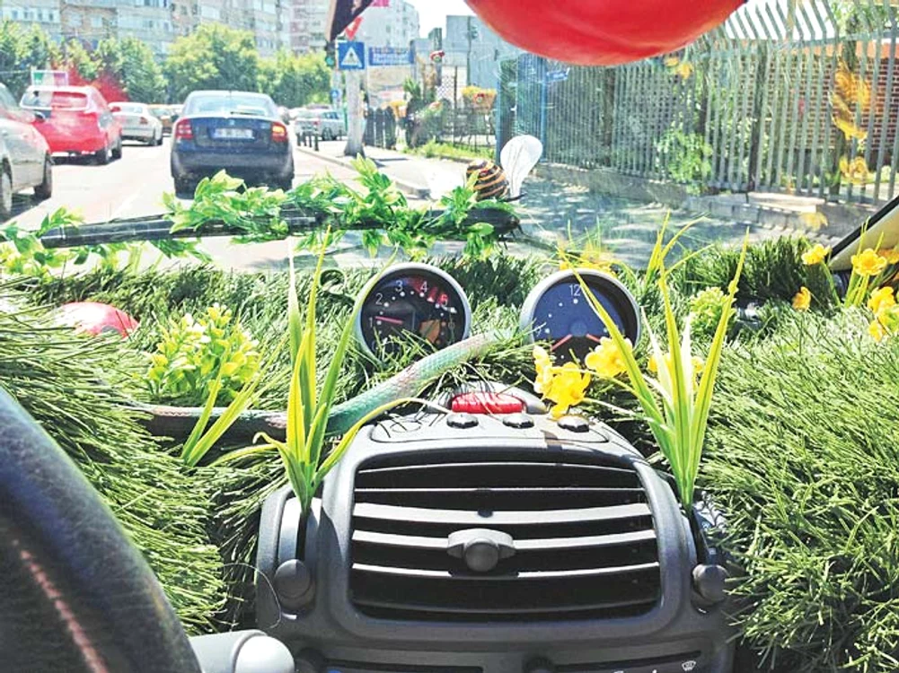 Şi în interior maşina arată ca o grădină