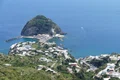 falco ischia 2580755 jpg