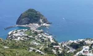 falco ischia 2580755 jpg
