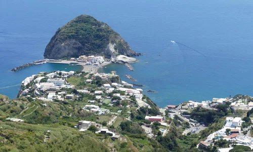 falco ischia 2580755 jpg