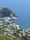 falco ischia 2580755 jpg