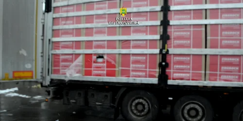 5bf67400df52022f75b20cca jpg