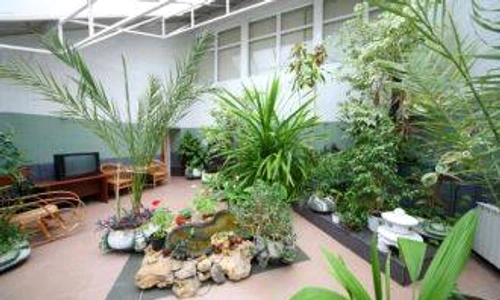 1 63038 original jpg jpeg