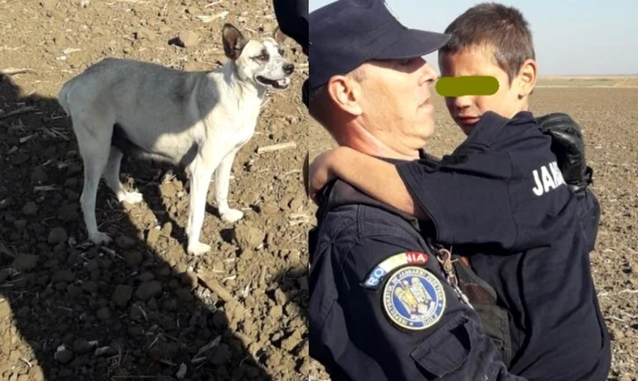 Copilul găsit de jandarmi după ce a fost păzit peste noapte de câinele său FOTO Jandarmeria Română