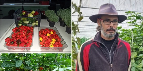 agricultor alba 
