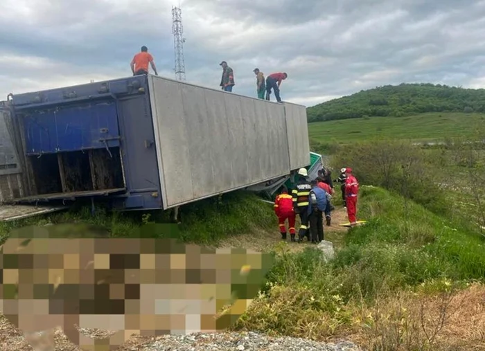 Zeci de animale au murit  FOTO: ISU Bistrița Năsăud